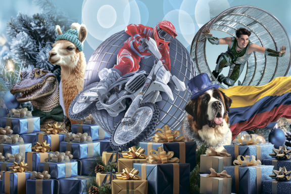 Новогоднее шоу «На грани экстрима»