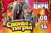 Итальянский цирк: Слоны и тигры