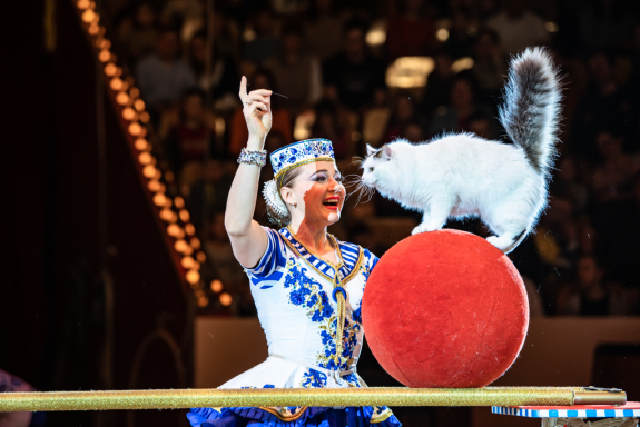 &Tcy;&acy;&jcy;&ncy;&acy; &Pcy;&icy;&rcy;&acy;&tcy;&acy;