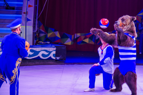 &Tcy;&acy;&jcy;&ncy;&acy; &Pcy;&icy;&rcy;&acy;&tcy;&acy;