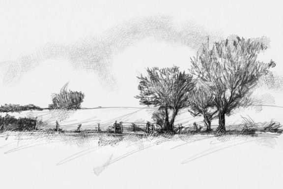 "&Vcy;&ocy;&lcy;&shcy;&iecy;&bcy;&ncy;&ycy;&jcy; &kcy;&acy;&rcy;&acy;&ncy;&dcy;&acy;&shcy;"