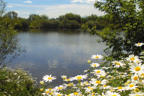 "Ритмы родного края"