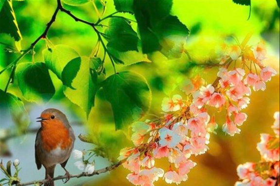 "&Gcy;&ocy;&lcy;&ocy;&scy; &vcy;&iecy;&scy;&ncy;&ycy;"