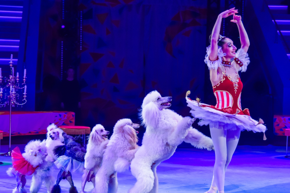 &TScy;&icy;&rcy;&kcy; &zcy;&acy;&zhcy;&icy;&gcy;&acy;&iecy;&tcy; &ocy;&gcy;&ncy;&icy;