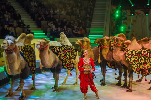 &TScy;&icy;&rcy;&kcy; &zcy;&acy;&zhcy;&icy;&gcy;&acy;&iecy;&tcy; &ocy;&gcy;&ncy;&icy;