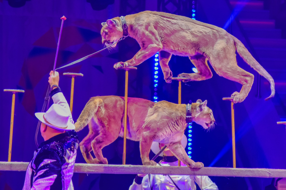 &TScy;&icy;&rcy;&kcy; &zcy;&acy;&zhcy;&icy;&gcy;&acy;&iecy;&tcy; &ocy;&gcy;&ncy;&icy;