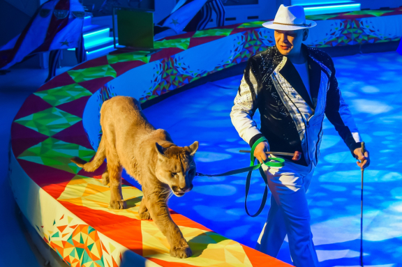 &TScy;&icy;&rcy;&kcy; &zcy;&acy;&zhcy;&icy;&gcy;&acy;&iecy;&tcy; &ocy;&gcy;&ncy;&icy;